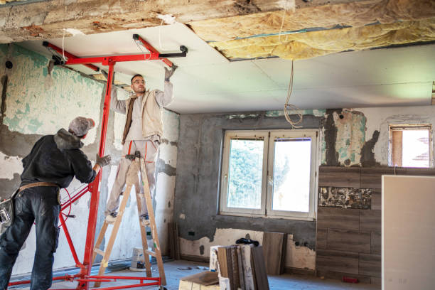 Best Residential Insulation in New Hyde Park, NY
