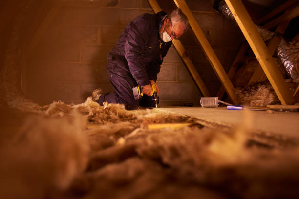 Best Residential Insulation in New Hyde Park, NY